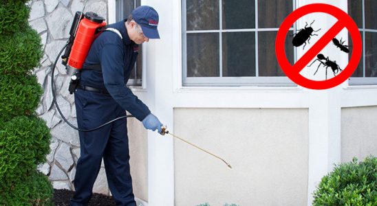 Sivrihisar Fare İlaçlama böcek ilaçlama ve haşere kontrolü — ilaclama-tr.com
